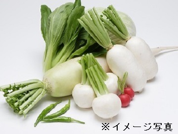 共通エクスプレス株式会社-4