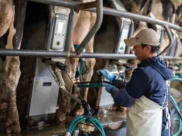 株式会社サンエイ牧場-4