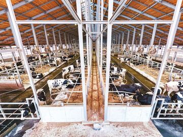 株式会社サンエイ牧場-2