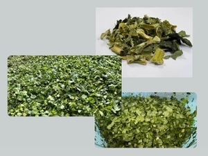 愛知県豊橋市×野菜/法人【43445】-top