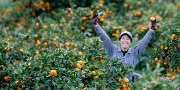 有機栽培☆代表含めスタッフ全員が新規就農者!20代,30代が中心の「てんぽ印」で新規スタッフを募集。有機野菜・果樹の生産・加工・販売が学べます【寮あり】