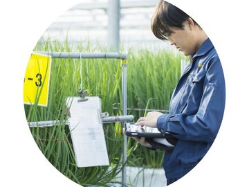 静岡県焼津市×施設野菜/法人【43448】-2