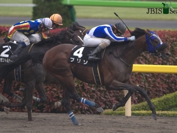 モリナガファーム-7