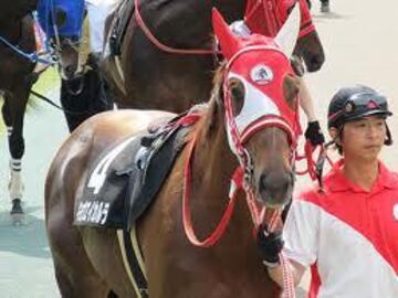 モリナガファーム-8