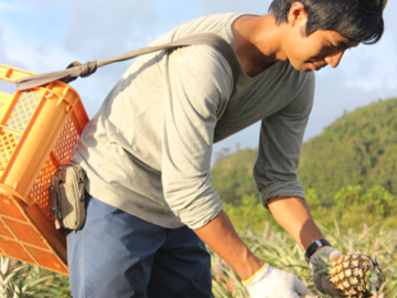 株式会社農園ファイミール-2