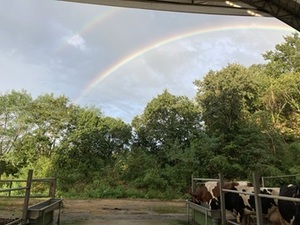 農事組合法人大一牧場-top