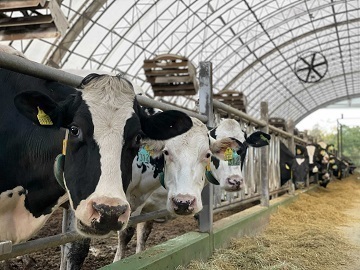 農事組合法人大一牧場-2