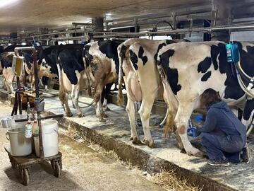 とうや湖酪農ヘルパー利用組合-top