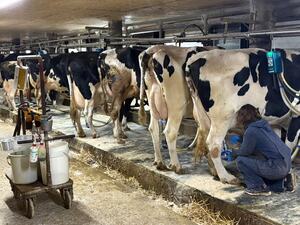 とうや湖酪農ヘルパー利用組合-top