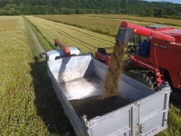 株式会社黒岩農場-2