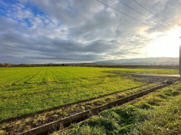 株式会社黒岩農場-5