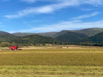 株式会社黒岩農場-6