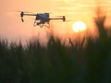 株式会社黒岩農場-8