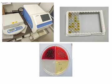 原牧場(島根県)-2