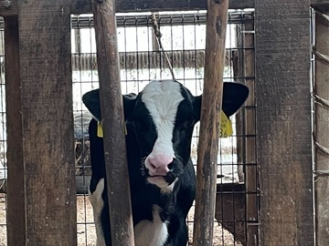 岡崎額田酪農ヘルパー利用組合-6