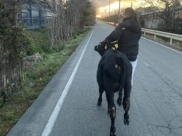 株式会社岸上牧場-7