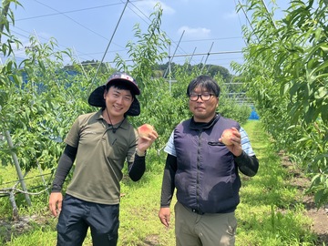 ジャパンフルーツ株式会社-4