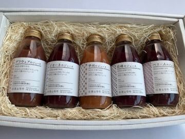 有限会社ぶどうばたけ-4