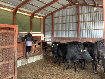 有限会社松山牧場-3