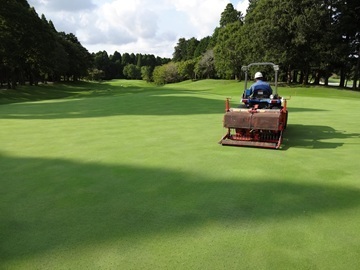 東京グリーン富里カレドニアン株式会社-3