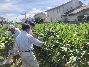 株式会社荒井食品-top