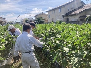 株式会社荒井食品-top