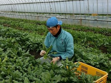 株式会社モリタ肥料店-7