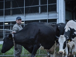 北海道中標津町×酪農/法人【43381】-top
