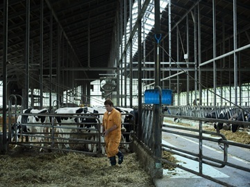 北海道中標津町×酪農/法人【43381】-2