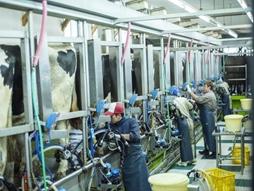 北海道中標津町×酪農/法人【43381】-4