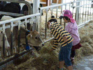 北海道中標津町×酪農/法人【43381】-5