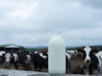 北海道中標津町×酪農/法人【43381】-7