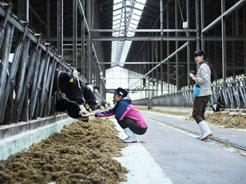 北海道中標津町×酪農/法人【43381】-8