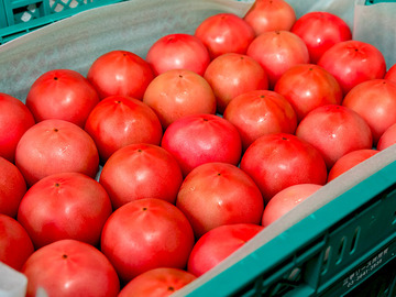 株式会社ファーム重蔵-1