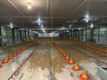 インフィニア株式会社(御池農場)-1