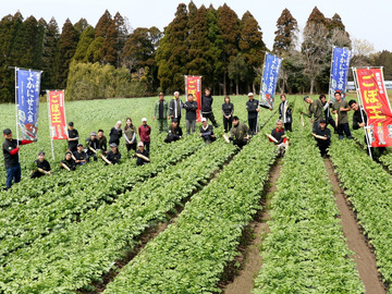 株式会社 山英野菜-1