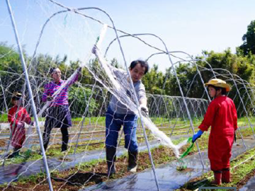 株式会社コンサント(田舎ごっこファーム)-3