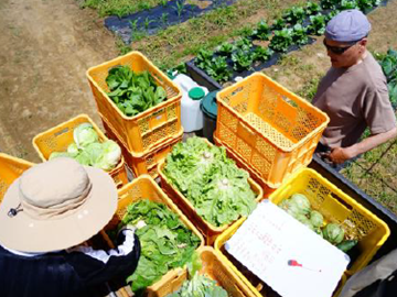 株式会社コンサント(田舎ごっこファーム)-2