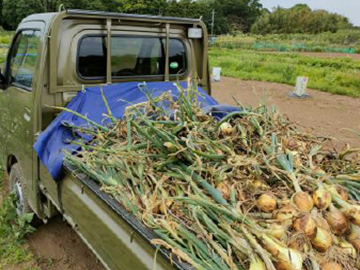 株式会社コンサント(田舎ごっこファーム)-4