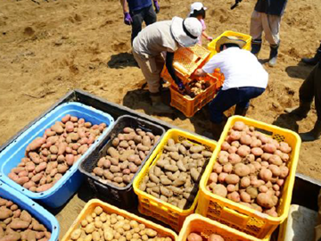 株式会社コンサント(田舎ごっこファーム)-6