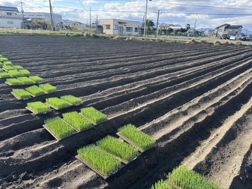 株式会社スマベジファーム-2