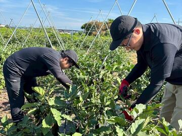 株式会社スマベジファーム-4