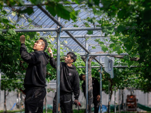 株式会社ハピネスワン-top