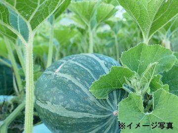 有限会社正八-2