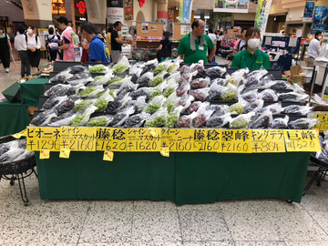 有限会社ぶどうばたけ-5