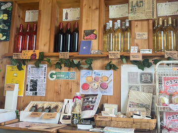 有限会社ぶどうばたけ-7