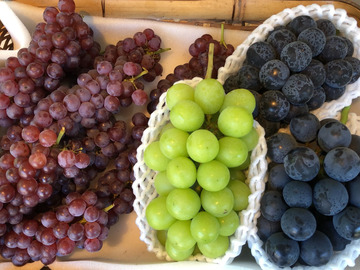 有限会社ぶどうばたけ-1