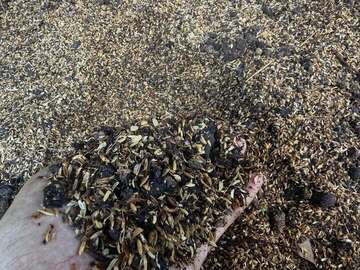 株式会社樫村ふぁーむ-8