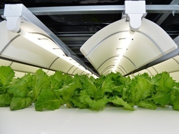 株式会社バイテックベジタブルファクトリー-2