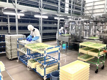 株式会社バイテックベジタブルファクトリー-4